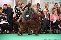 Crufts2011 744